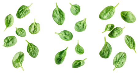 Falling Spinach isolated on white background, full depth of field