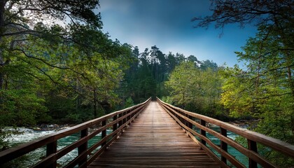 Fototapeta premium Dense, tropical forest with heavy rainfall, known for its rich biodiversity.