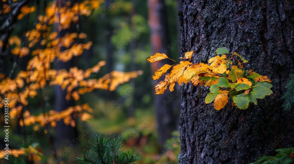 Canvas Prints  A tight shot of a tree, its bark adorned with a dense cluster of leaves, and a backdrop of a verdant forest