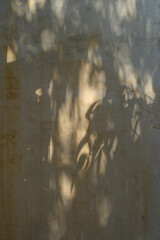 Abstract natural tree leaves shadow on wall background