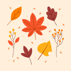 Flat autumn leaves elements collection