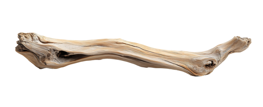 A weathered, twisted piece of driftwood with intricate grain patterns and a smooth texture isolated PNG cutout transparent background.