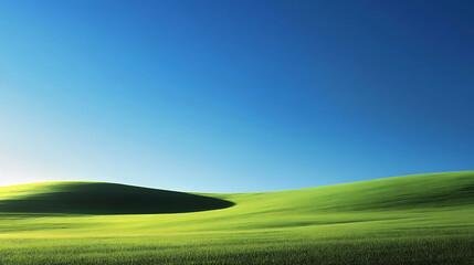 Obraz premium field in nature