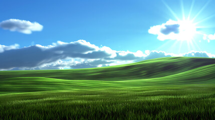 Fototapeta premium field in nature