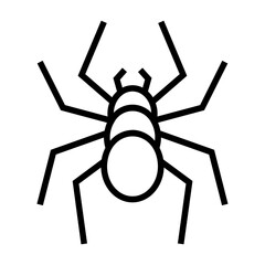 spider