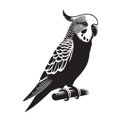 Parakeet silhouette vector art illustration