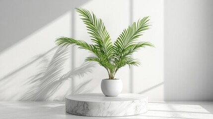 Obraz premium Product display on a marble podium with palm leaves, set against a bright, clean white background.