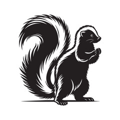  Skunk silhouette vector illustration