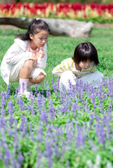 花畑に座る女の子と男の子