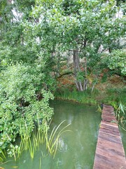 Obraz premium wooden bridge over the lake