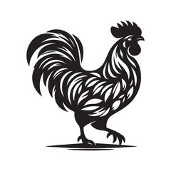 rooster isolated on white background