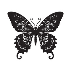 black and white butterfly