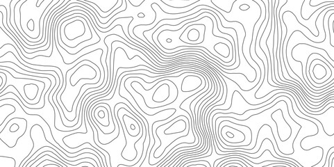 topographic line contour map background, White wave paper curved reliefs abstract background,Geographic mountain terrain.The topo contour map with terrain,