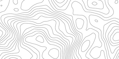 topographic line contour map background, White wave paper curved reliefs abstract background,Geographic mountain terrain.The topo contour map with terrain,