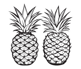 Obraz premium set of pineapple fruit silhouette line art vector