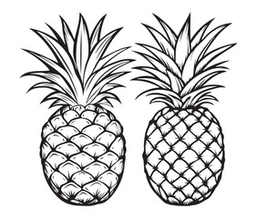 Fototapeta premium set of pineapple fruit silhouette line art vector