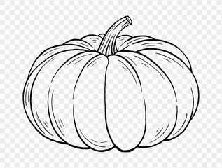 Outline pumpkin hand draw with brush style isolated on png or transparent texture,Halloween party background ,element template for poster, brochures, online advertising, vector illustration 
