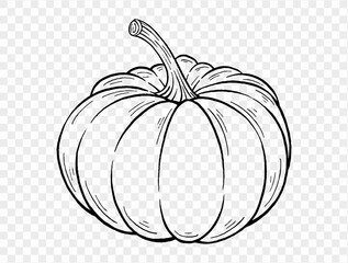 Outline pumpkin hand draw with brush style isolated on png or transparent texture,Halloween party background ,element template for poster, brochures, online advertising, vector illustration 