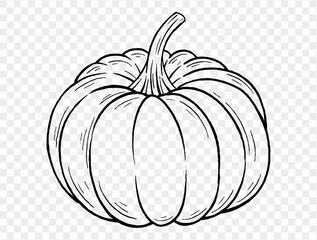 Outline pumpkin hand draw with brush style isolated on png or transparent texture,Halloween party background ,element template for poster, brochures, online advertising, vector illustration 