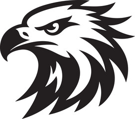 Eagle face illustration and silhouette
