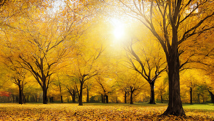 A captivating autumn landscape featuring yellow trees and sunlight.