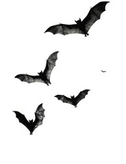 Obraz premium Bat silhouette flying on transparent background. PNG