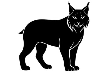 Lynx vector art and illustration
