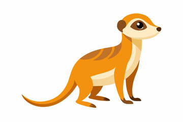 Meerkat vector art and illustration