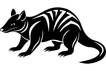 Tasmanian devil vector art and illustration