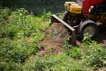 an excavator clears tall green grass, preparing a construction site, an old tractor removes green grass, site clearing, beginning of work, nature and machinery © Александр Ланевский