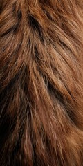 Naklejka premium Close-up of lush, brown fur
