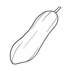 Papaya Fruit Illustration Vitamin Summer Tropical