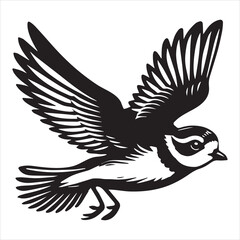 Fototapeta premium Piping Plover Silhouette - Plover Birt Clipart, Piping Plover Illustration in black and white