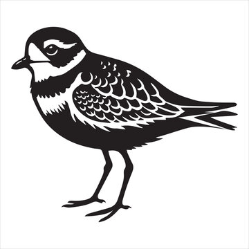 recommend clip art: Piping Plover Silhouette  - Plover Birt Clipart,  Piping Plover Facing Left Illustration in black and white