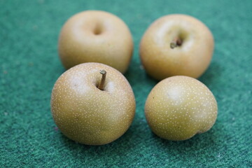 Nashi pear (Pyrus pyrifolia) Rosaceae family. Hanover, Germany.