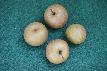 Nashi pear (Pyrus pyrifolia) Rosaceae family. Hanover, Germany.