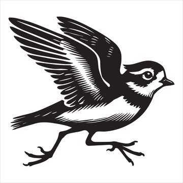 recommend clip art: Piping Plover Silhouette  - Plover Birt Clipart,  Piping Plover running Illustration in black and white
