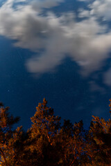 Fototapeta premium starry night sky, moonlight, floating clouds