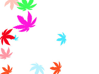 Autumn falling leaves isolated on white background.  Autumn maple and oak leaves. Red gold yellow sorb dry autumn leaves. 