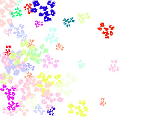 flowers and butterflies