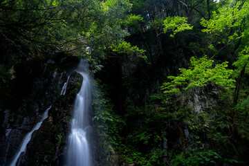 美しい滝のある風景