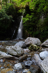 Obraz premium 美しい滝のある風景