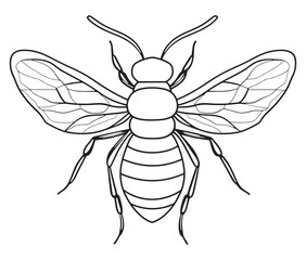 illustration of a bee silhouette line art vector