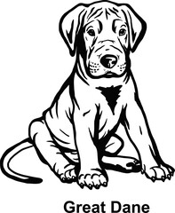 Puppy Great Dane - Dog Breed, Puppy Breed Vector File, detailed vector