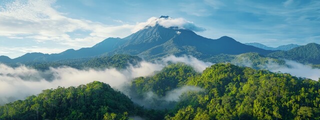  A mountain shrouded in fog, foreground dotted with trees and low-lying clouds