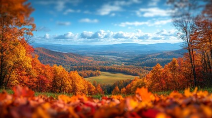Vibrant autumn valley view with colorful foliage under a clear blue sky
