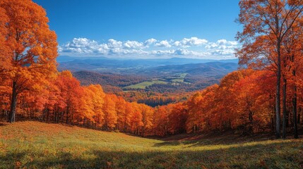 Fototapeta premium Vibrant autumn colors in a valley showcasing trees and mountains under a clear blue sky