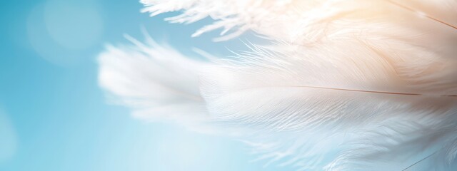 Obraz premium A white feather, closely framed against a blue background The backdrop softly blurs, revealing only the intricate texture of the feather's reverse side