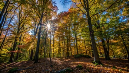Obraz premium Vibrant autumn forest with a blanket of fallen leaves, towering trees showcase kaleidoscope of colors, as warm sunlight penetrates through the rustling branches.