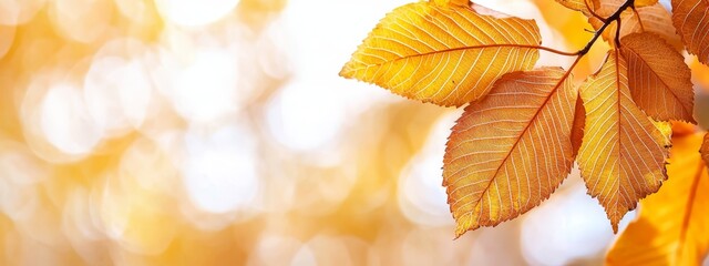 Fototapeta premium A tight shot of a tree leaf on a branch, surrounded by a softly blurred backdrop of nearby foliage